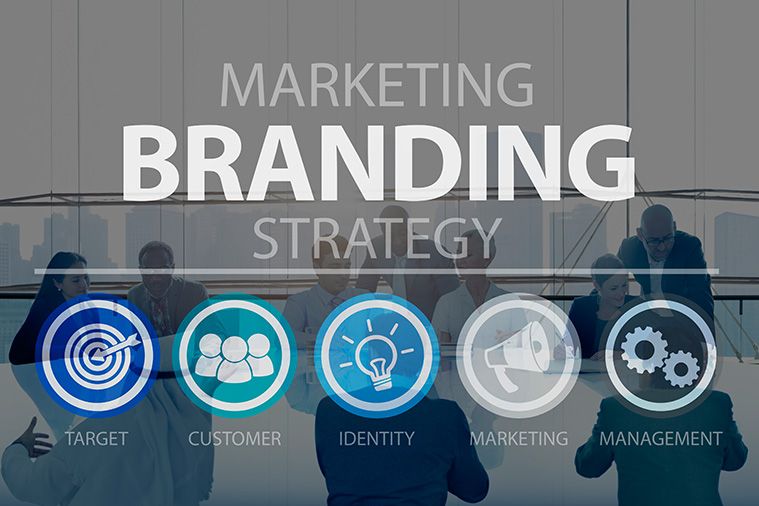 Brand Activation & Promotion